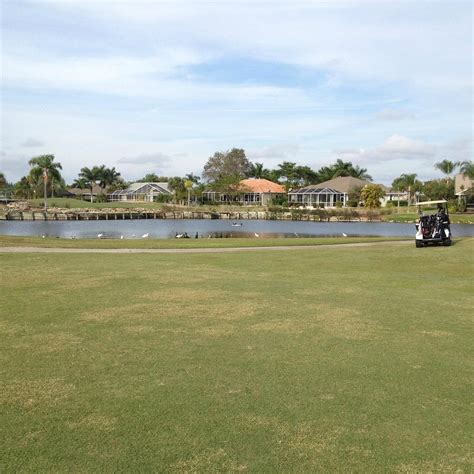 Palmetto pine country club - Palmetto-Pine Country Club: Better,... but still a long way to go. - See 104 traveler reviews, 39 candid photos, and great deals for Cape Coral, FL, at Tripadvisor.